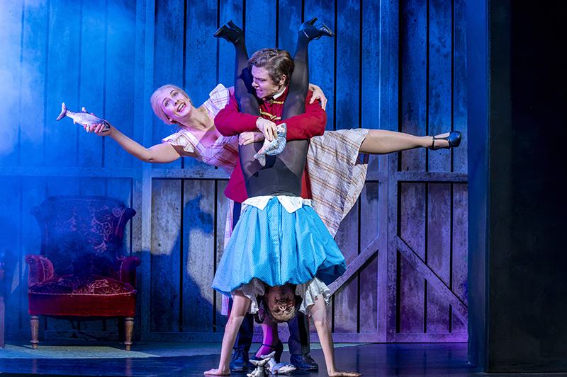 Operette: Die gelbe Lilie