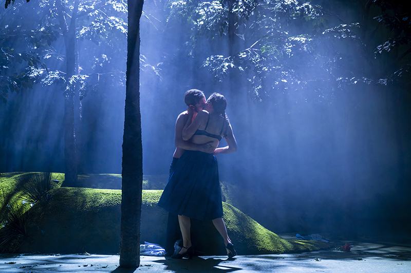Operette: Die gelbe Lilie