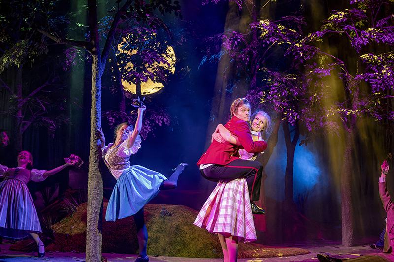 Operette: Die gelbe Lilie