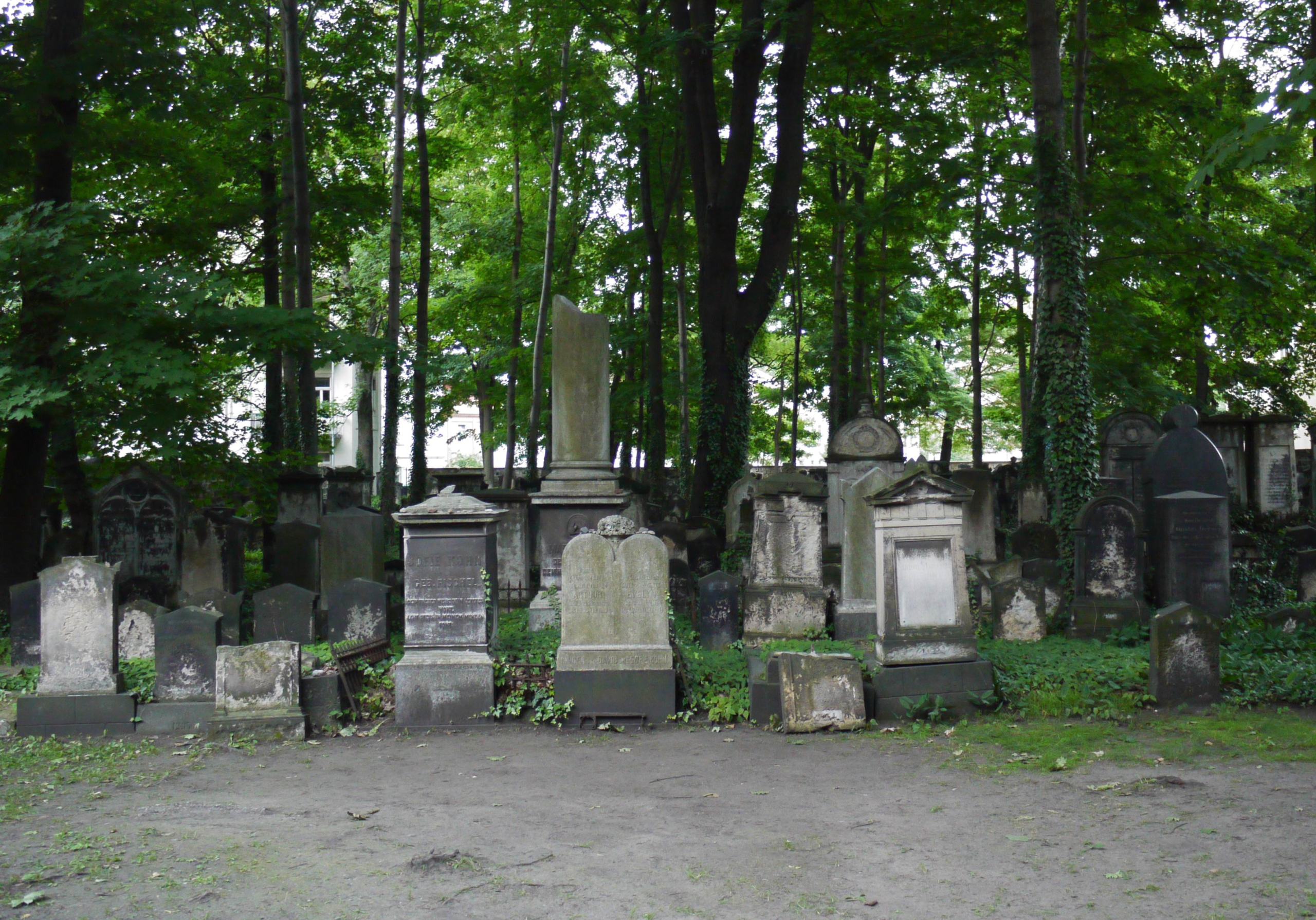 Der Alte Jüdische Friedhof in Dresden. Man sieht mehrere alte Grabsteine, dahinter Bäume